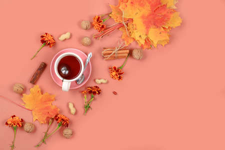 Autumn composition flat lay, seasonal background with maple leaves, cinnamon and tea, place for text. Happy Thanksgiving concept, greeting card, banner for screen, top viewの写真素材