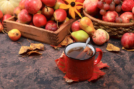 Autumn drink, seasonal composition, hot cinnamon tea, mulled wine in iron mugs on wooden background, copy space, Happy Thanksgiving concept, greeting card,の写真素材