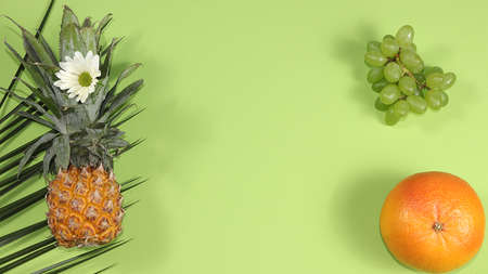 Tropical fruits, grapefruit, pineapple, grapes, banner. Detox diet minimal concept. Space for text,...