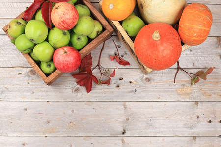 Autumn composition with seasonal zucchini, pumpkins, apples and leaves on wooden background, happy thanksgiving concept, card, flat lay. Harvesting in the village,の写真素材