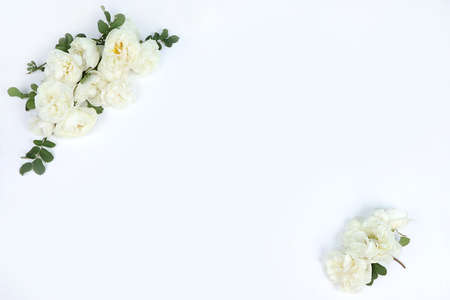 Abstract flower composition, still life, spring banner, roses on a light background. Greeting card...