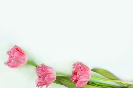 Holiday concept with flowers, abstract spring or summer composition, still life, banner. Greeting card for mothers day, womens day, lovers day, happy birthday, wedding, selective focus,の写真素材