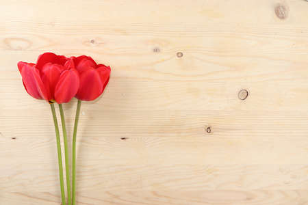 Holiday concept with flowers, abstract spring or summer composition, still life, banner. Greeting card for mothers day, womens day, lovers day, happy birthday, wedding, selective focus, gift for loved ones,の写真素材