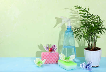 Colored sponges for washing dishes and cleaning, orchid flowers, bottle of cleaning agent in a sunny...