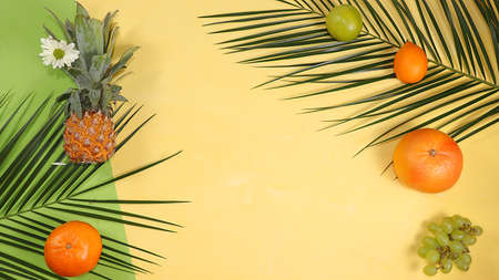 Tropical fruits, pineapple, grapefruit, orange, lemon on palm leaves, shop banner. Detox diet, minimal summer vacation concept. Space for text, flat lay.の写真素材