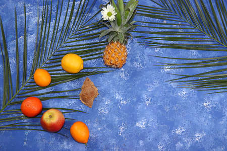 Tropical fruits, pineapple, grapefruit, orange, lemon on palm leaves, shop banner. Detox diet, minimal summer vacation concept. Space for text, flat lay.の写真素材