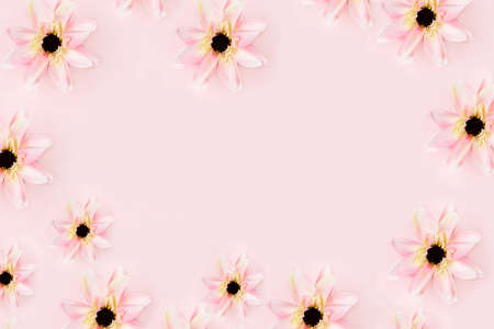 Holiday concept with flowers, spring or summer compositionの写真素材