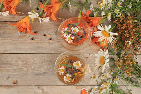 Chamomile and mint herbal tea, oregano and hypericum, alternative medicine concept, autumn...
