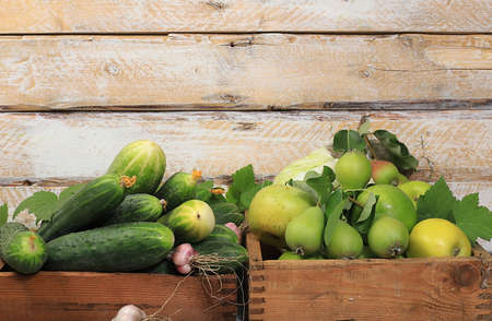 The concept of harvesting in the village. Fresh crispy cucumbers and green apples and pears on an old wooden table, healthy and organic food, place for text, selective focus.の写真素材