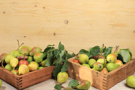 Autumn composition of apples and pears on a sunny wooden table, thanksgiving background, harvesting, healthy natural food concept, detox diet and body cleansing, banner for screen, cafe, restaurant, selective focusの写真素材