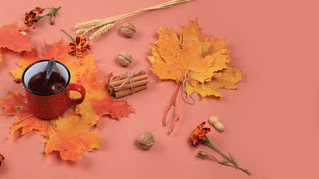 Autumn composition flat lay, seasonal background with maple leaves, cinnamon and tea. Happy Thanksgiving concept, greeting card, banner for screen, top view,の写真素材