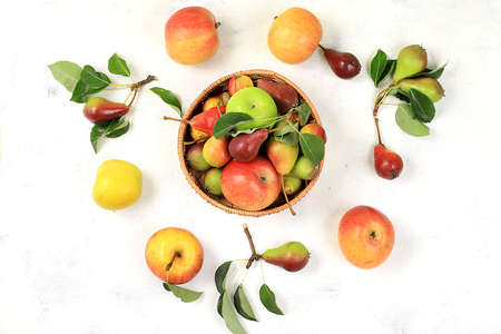 Autumn composition of apples and pears on a sunny table, thanksgiving background, harvesting, healthy natural food concept, detox diet and body cleansing, banner for screen, cafe, restaurant, selective focusの写真素材