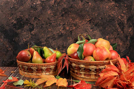Basket with pears and apples on an old wooden table.Autumn abstract composition with maple leaves, thanksgiving day concepts, background, banner or splash screen, postcard, selective focus ..の写真素材