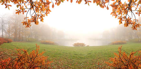 Autumn park in October on a rainy foggy day, a path with red oak leaves and a misty lake in the...