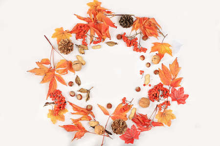 Autumn abstract composition, wreath with maple leaves, pine cones, nuts and rowan, thanksgiving day concept, seasonal background, banner or screen saver, greeting card or invitation with place for text, selective focusの写真素材