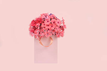 Autumn floral arrangement, phlox flowers in pink gift box, minimal holiday concept, thanksgiving day. Mother's day card, happy birthday, wedding, place for text, selective focusの写真素材