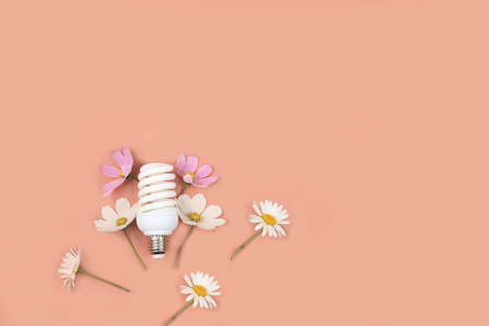 Energy saving light bulbs with chamomile flowers on a light background with place for text, the...