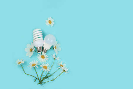 Energy saving light bulbs with chamomile flowers on a light background with place for text, the concept of saving energy and saving the environment, the use of eco light bulbs helps to reduce carbon emissions, eco advertising, top viewの写真素材
