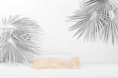 Abstract background with natural wooden podiums and silvery palm leaves, empty showcase for display or presentation of cosmetic products, stage with geometric shapes, minimal ecology concept, selective focusの写真素材
