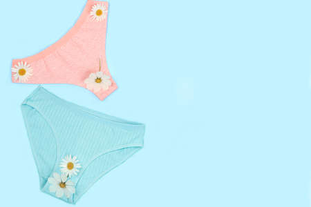 Assortment of women's cotton underpants with chamomile flowers on a light background with space for...