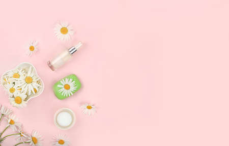 Chamomile flowers and care cosmetics on gentle background, herbal natural organic cosmetics minimal...