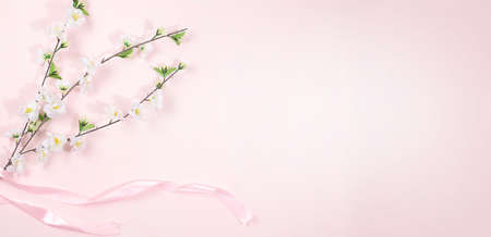Spring or summer flower arrangement, banner, blossoming tree branch on pink background, minimal holiday concept. Greeting card for mother's day, women's day, valentine's day, happy birthday, wedding, selective focus,の写真素材