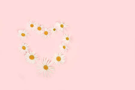 Composition with white chamomile flowers heart, concept hello summer, template for design, greeting card for Women's Day, mother's day, birthday, invitation, minimal modern designの写真素材