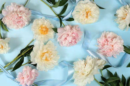 Abstract flower composition, still life, spring, summer banner, beautiful spring peony flowers on a light background, card for mother's day, women's day, valentine's day, happy birthday, wedding,の写真素材