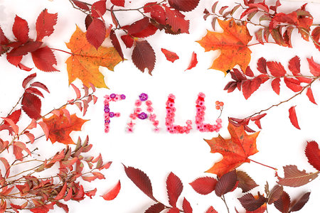 Frame with maple, oak and rowan leaves, autumn abstract composition, thanksgiving day concepts, seasonal background, banner or screensaver, greeting card or invitation with fall text, selective focusの写真素材