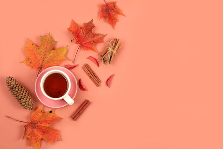 Autumn composition flat lay, seasonal background with maple leaves, cinnamon and tea, space for text. Happy Thanksgiving, greeting card, screen banner, minimal autumn concept,の写真素材