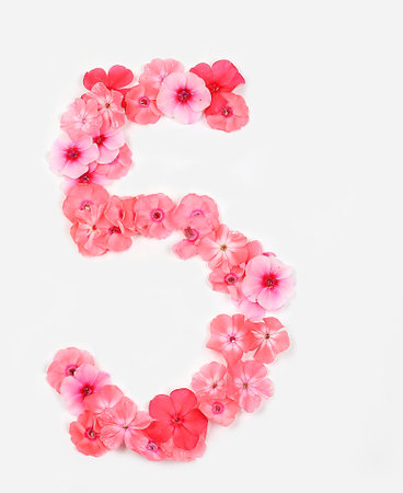Number 5 made from real fresh flowers. Floral font concept, alphabet. Unique collection of letters and numbers for design. Spring, summer, autumn and valentines, creative idea,の写真素材