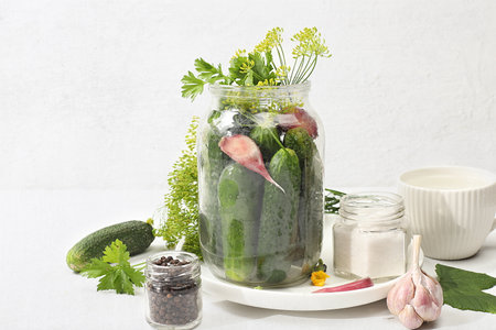 Cucumbers and ingredients for pickling them, the concept of home canning, healthy and natural food. Cucumbers, dill, garlic, currant leaves, cherries, horseradish, oak and basil, rustic pickle recipe, selective focusの写真素材