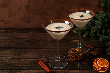 Christmas martini with cinnamon and nutmeg on a dark background with fir branches, the concept of Christmas and winter holidays. Warming egg drink during the cold season, selective focusの写真素材