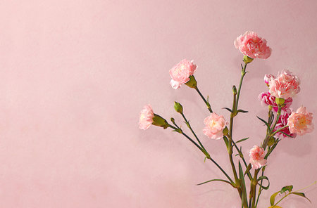 Floral arrangement with carnations on a pink background. Concept for Valentine's Day or Women's Day, Mother's Day, banner, greetings to your loved one on holiday, birthday, minimal modern design, selective focusの写真素材