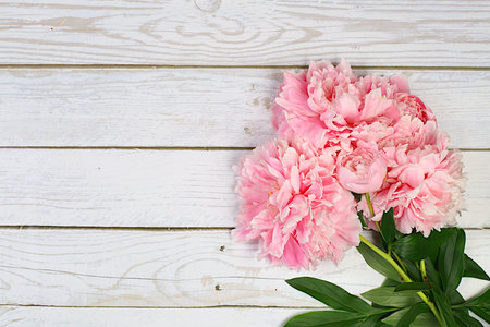 Bouquet of beautiful peonies on an old wooden background,Abstract flower arrangement, flat lay,summer banner with place for text.Creative modern bouquet. Greeting card and holiday concept with flowers, selective focusの写真素材