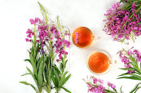 Medicinal herbal tea or fireweed infusion in a glass cup with flowers, the concept of alternative traditional medicine, green pharmacy advertising, collection of useful herbs for treatment according to folk recipes, source of vitamins,の写真素材