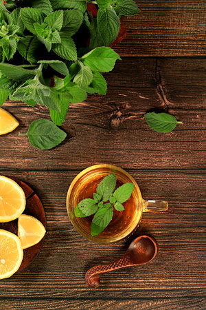 Medicinal herbal tea or infusion of peppermint with lemon with flowers, concept of alternative traditional medicine, collection of useful herbs for treatment according to folk recipes,の写真素材