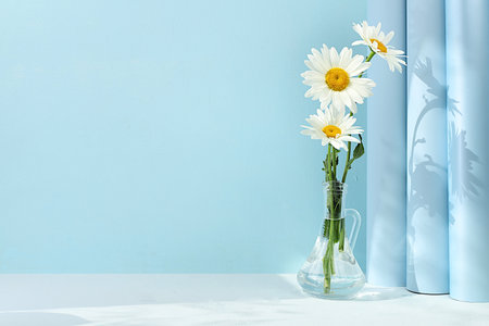 Abstract floral composition with delicate flowers of garden chamomile on elegant blue background. Spring card for design. Natural nature background or banner. Pattern with flower buds.の写真素材