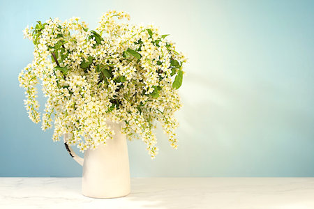 Still life with beautiful spring branches of blooming bird cherry in vase on elegant background. Abstract floral composition and banner for screen, floral holiday card with summer greeting concept.の写真素材