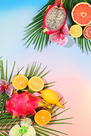 Tropical background with palm trees and exotic fruits, beautiful template for your design with space for text, bright sunny flyer, dragon fruit, pitaya, oranges, lemons, orchid flowers on palm leaves, summer in a snapshot.の写真素材