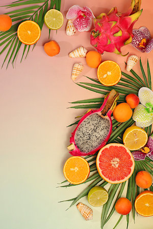 Dragon fruit, pitaya, oranges, apricots, orchid flowers, grapefruit and seashells on palm leaves, template for your design. Tropical background with exotic fruits, Sunny banner. Summer in a snapshot,の写真素材
