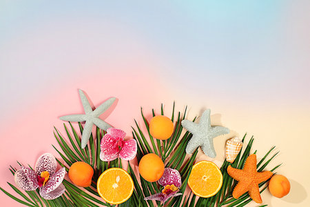 Summer in a snapshot. Dragon fruit, pitaya, oranges, lemons, apricots, orchid flowers, seashells on...