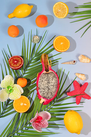 Tropical background with exotic fruits, Sunny banner. Summer in a snapshot, Dragon fruit, pitaya, oranges, apricots, orchid flowers, grapefruit and seashells on palm leaves, template for your designの写真素材
