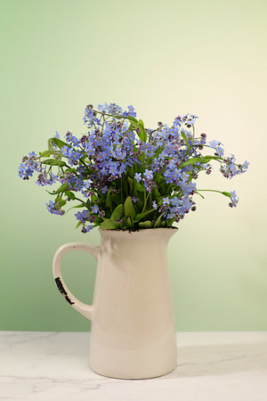 Abstract flower arrangement,Beautiful spring forget-me-not flowers in vase on light background,flyer. still life and template for design,floral holiday card and summer greeting concept,selective focusの写真素材
