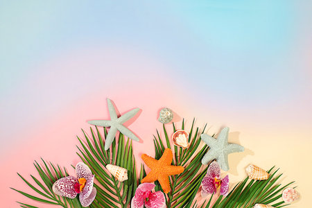 Abstract background with palm leaves, sea shells, orchid flowers and stars. Tropical sunny colorful banner, . Elegant beautiful podium and template for your creativity, summer party concept and product display stand.の写真素材