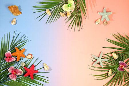 Tropical sunny colorful banner,Abstract background with palm leaves,seashells,orchid flowers and stars.Elegant beautiful podium and template for your creativity,summer party concept and product display stand.の写真素材