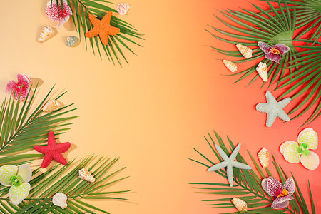 Abstract background with palm leaves, sea shells, orchid flowers and stars. Tropical sunny colorful banner, Elegant beautiful podium and template for your creativity, summer party concept and product display stand.の写真素材