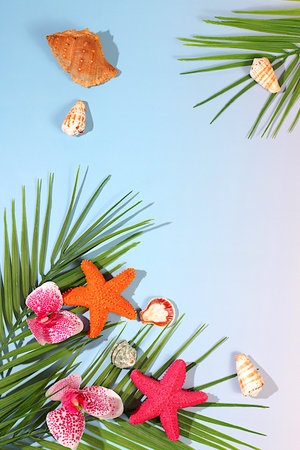 Abstract background with palm leaves, sea shells, orchid flowers and stars. Tropical sunny colorful banner, Elegant beautiful podium and template for your creativity, summer party concept and product display stand.の写真素材