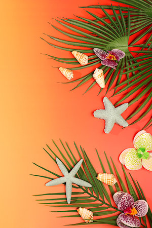 Abstract background with palm leaves, sea shells, orchid flowers and stars. Tropical sunny colorful banner, . Elegant beautiful podium and template for your creativity, summer party concept and product display stand.の写真素材