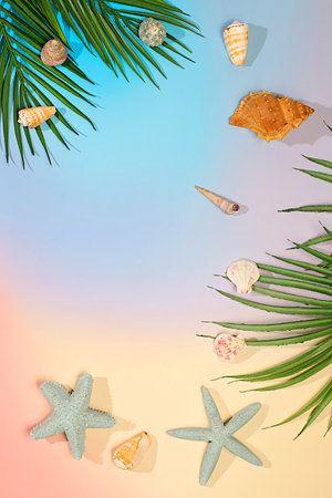 Tropical sunny colorful banner, background with palm leaves, seashells and stars. Elegant beautiful podium and template for your creativity, summer party concept and product display stand.の写真素材
